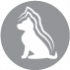 CLUB 4 PAWS Premium for puppies of large breeds "Сhicken". Сomplete dry pet food