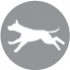 CLUB 4 PAWS Premium "Active". Сomplete dry pet food for adult active dogs of all breeds
