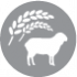 CLUB 4 PAWS Premium "Lamb and Rice" for adult dogs of all breeds. Сomplete dry pet food