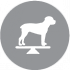CLUB 4 PAWS PREMIUM LIGHT. СOMPLETE DRY PET FOOD FOR WEIGHT CONTROL FOR ADULT DOGS OF SMALL BREEDS STERILISED OR PRONE TO BEING OVERWEIGHT. HIGH IN TURKEY